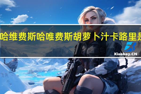 哈维费斯 哈唯费斯 胡萝卜汁卡路里是多少