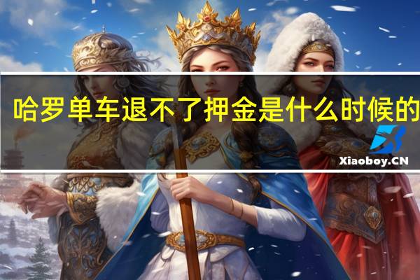 哈罗单车退不了押金是什么时候的事情（哈罗单车押金怎么退）