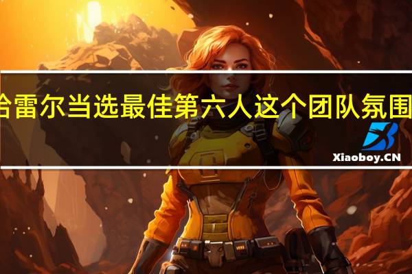 哈雷尔当选最佳第六人 这个团队氛围太棒了