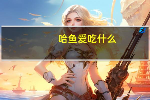 哈鱼爱吃什么