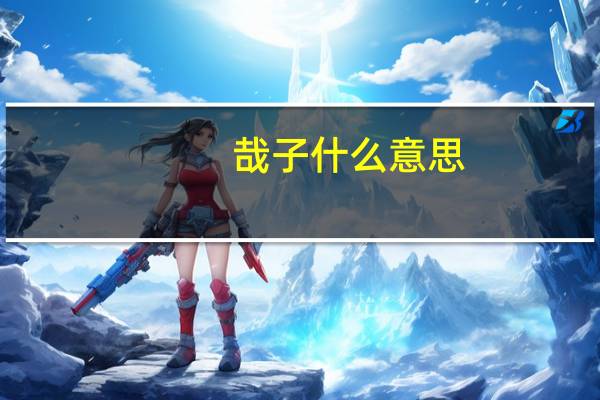 哉子什么意思
