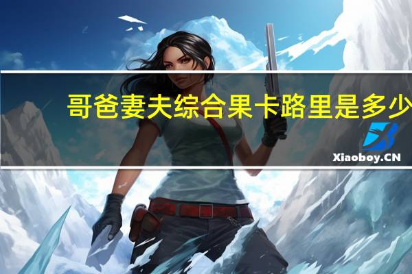 哥爸妻夫 综合果卡路里是多少