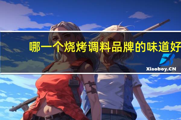哪一个烧烤调料品牌的味道好