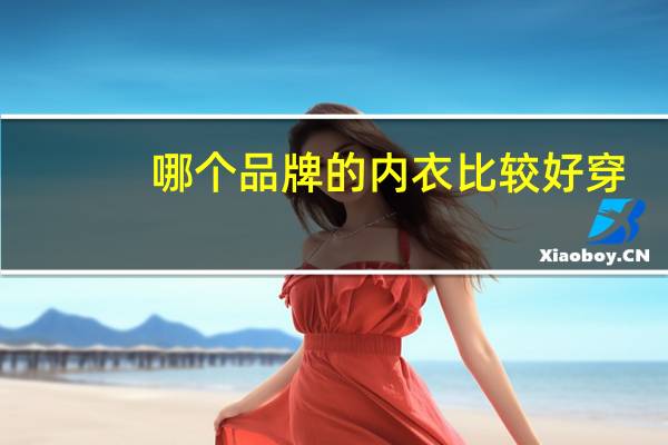 哪个品牌的内衣比较好穿