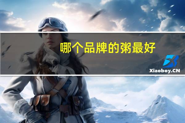 哪个品牌的粥最好