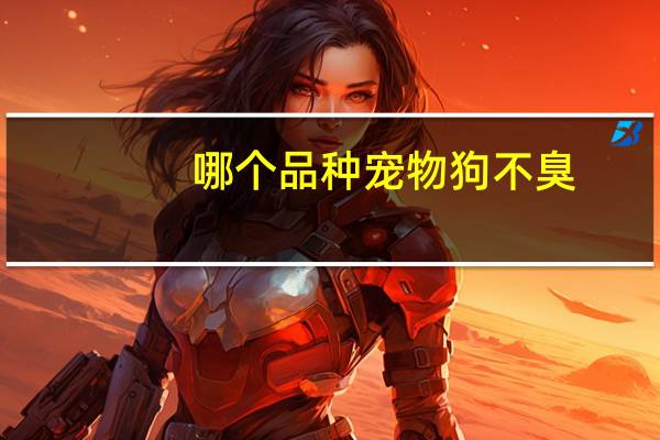 哪个品种宠物狗不臭