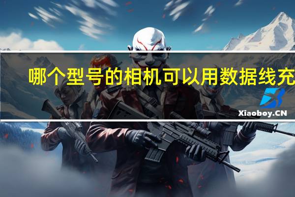 哪个型号的相机可以用数据线充电（相机用什么充电了解的说下）