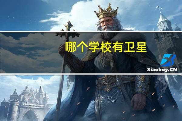 哪个学校有卫星
