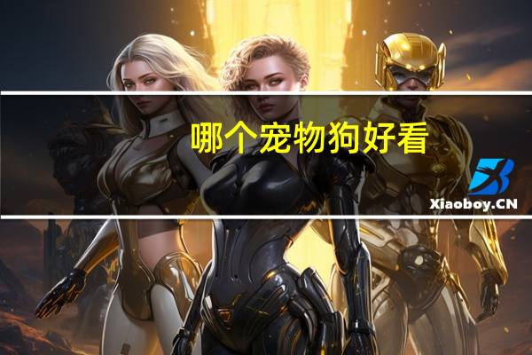 哪个宠物狗好看