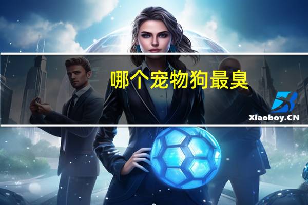 哪个宠物狗最臭