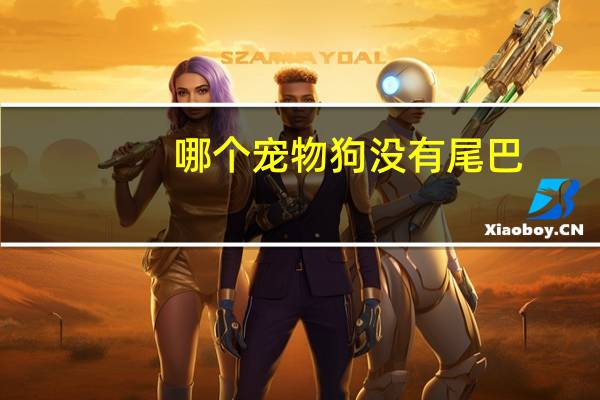 哪个宠物狗没有尾巴