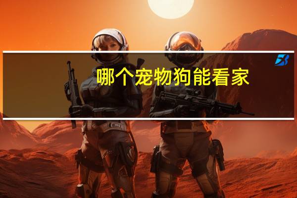哪个宠物狗能看家