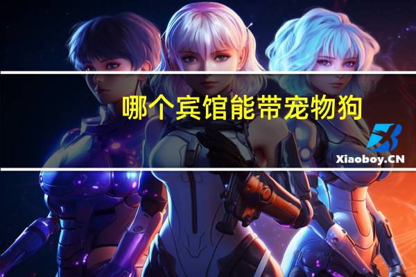 哪个宾馆能带宠物狗