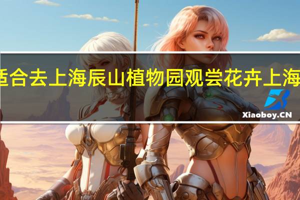 哪个月份最适合去上海辰山植物园观尝花卉 上海辰山植物园好玩吗