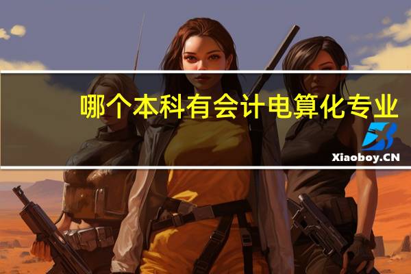 哪个本科有会计电算化专业