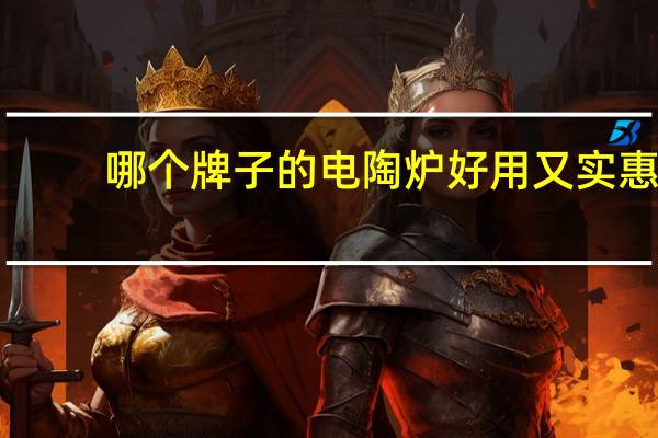 哪个牌子的电陶炉好用又实惠（哪个牌子的电陶炉好）