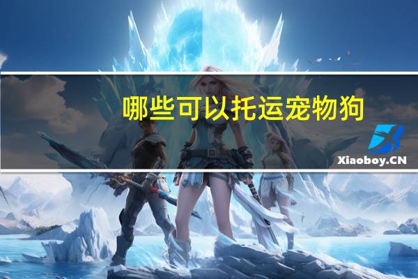 哪些可以托运宠物狗