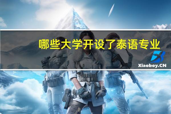 哪些大学开设了泰语专业