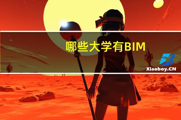 哪些大学有BIM
