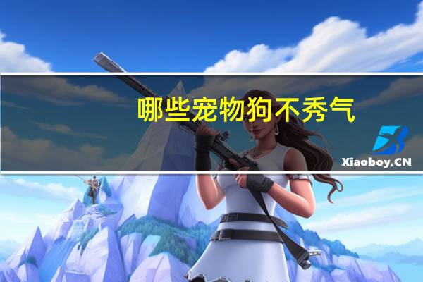 哪些宠物狗不秀气