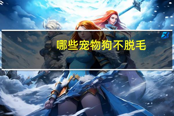 哪些宠物狗不脱毛