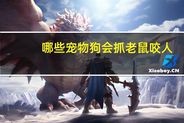 哪些宠物狗会抓老鼠咬人