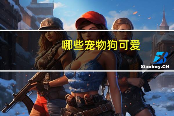 哪些宠物狗可爱