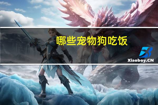 哪些宠物狗吃饭