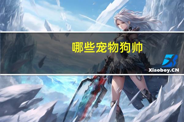 哪些宠物狗帅