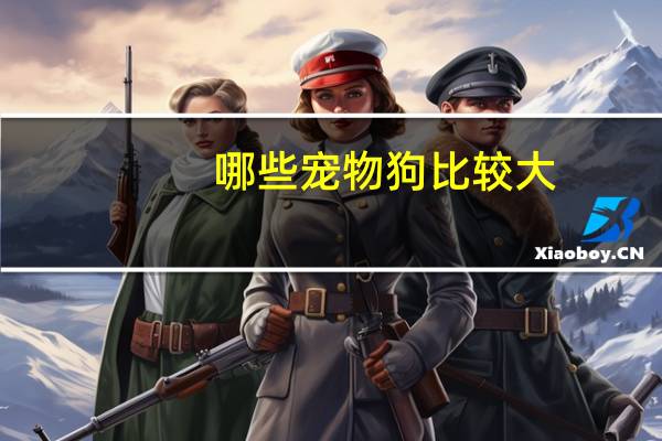 哪些宠物狗比较大