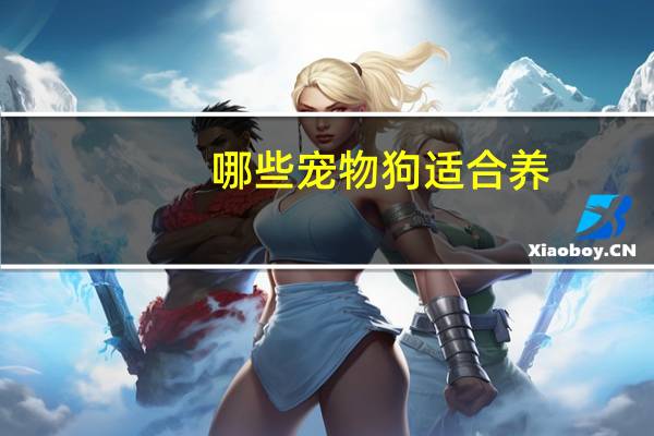 哪些宠物狗适合养