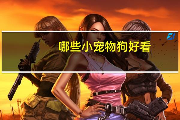 哪些小宠物狗好看