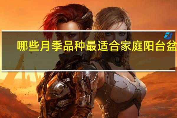 哪些月季品种最适合家庭阳台盆栽