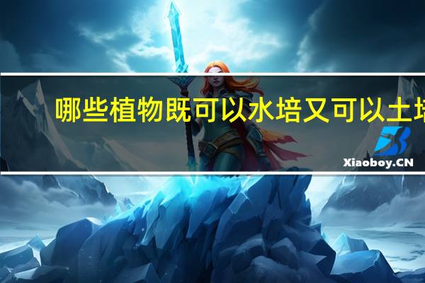 哪些植物既可以水培又可以土培?