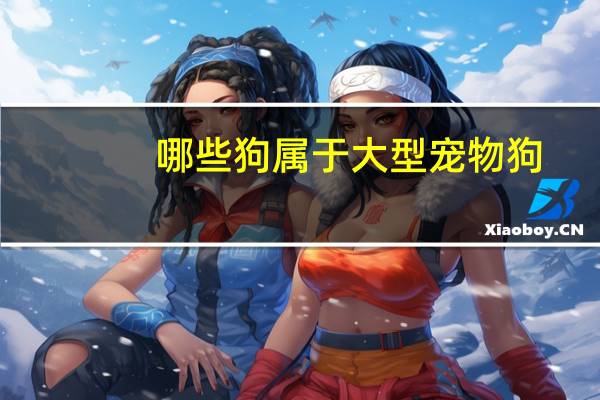 哪些狗属于大型宠物狗