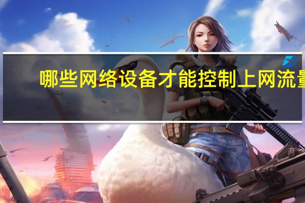 哪些网络设备才能控制上网流量