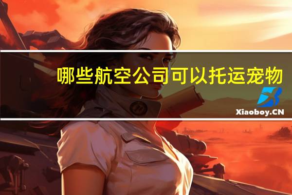 哪些航空公司可以托运宠物