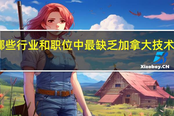 哪些行业和职位中最缺乏加拿大技术移民呢