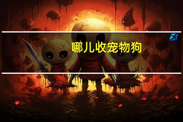 哪儿收宠物狗