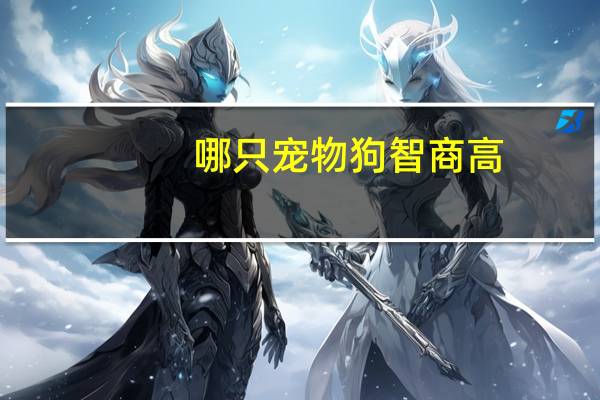 哪只宠物狗智商高