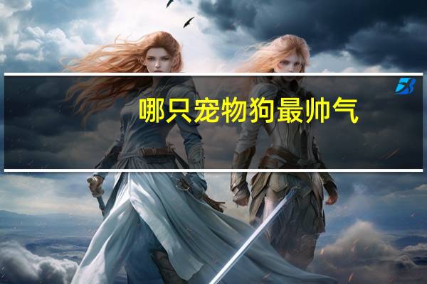 哪只宠物狗最帅气