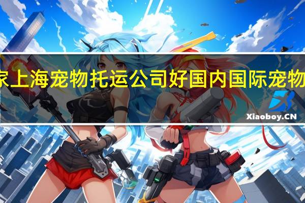 哪家上海宠物托运公司好 国内国际宠物托运公司