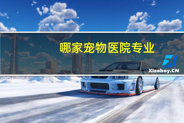 哪家宠物医院专业