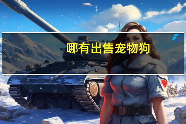 哪有出售宠物狗