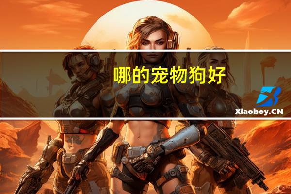 哪的宠物狗好