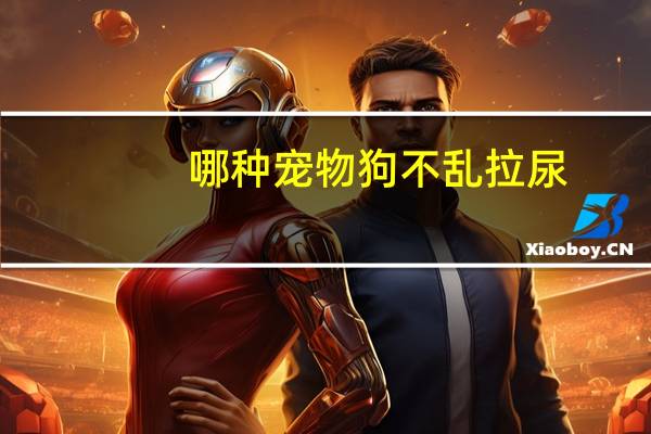 哪种宠物狗不乱拉尿