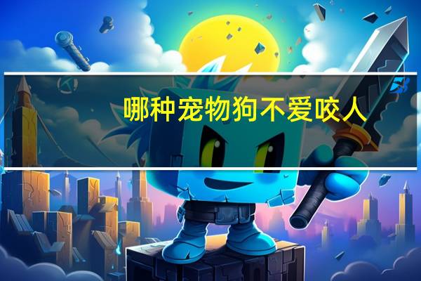 哪种宠物狗不爱咬人