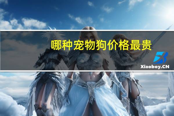 哪种宠物狗价格最贵