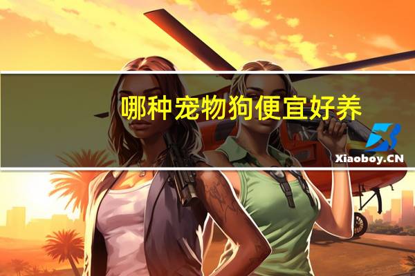 哪种宠物狗便宜好养