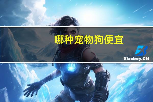 哪种宠物狗便宜